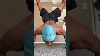 My First Maltese to Handstand Press