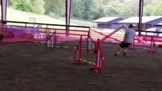 Ripple 10/4/15 BRAC P1 Jumpers Title