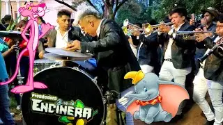 Pantera rosa & dumbo| PRENDEDORA BANDA ENCINERA🎺 2023