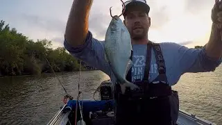 Early FALL Catfishing! (Multiple Fish)