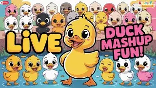 Five Little Ducks LIVE 🦆 Nursery Rhymes for Kids | Counting Songs 24/7