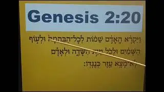 SLOW READING OF GENESIS 2:20 IN THE HEBREW LANGUAGE