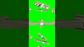Money Animation Green Screen VFX #money #chromakey