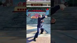 Southern Shaolin One-Finger罗汉拳 (Yīzhǐ Lu&oacute;h&agrave;n Qu&aacute;n)