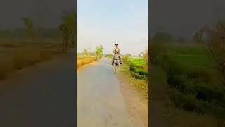 Pakistan Great Stallion Horse 💖🔥|#horselover #whatsappstatus #horse #reels #trending #punjabi