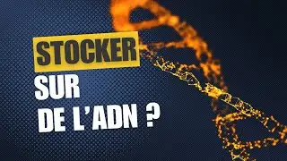 Stocker ses photos de vacances sur de l'ADN ?