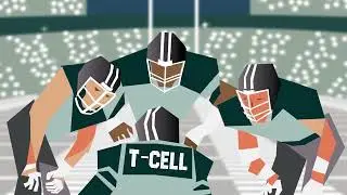 Re-training Your Immune System to Tackle Cancer: Explaining CAR T-cell Therapy