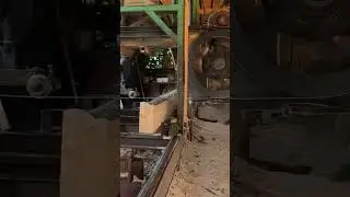 Mastering the Sawmill: Tree Cutting with Precision Saws #wood #woodworking #skills #work