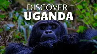 Uganda Like You&rsquo;ve Never Seen | Rainforests, Wildlife & Africa&rsquo;s Hidden Beauty 4K