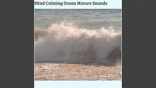 Soft Waves