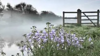 Lake Mist -- A Soothing Guided Meditation