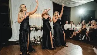 Maid of Honor Song Speech #3 (for our little brother)