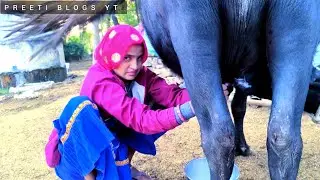 Buffalo milking video village women hand video making buffalo 2026//village women hand vlog milking 