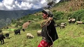 #himalayanflutemusic #automobile #dipaksurflute #dipaksurflute #funny #lifeisbutadream 