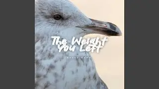 The Weight You Left