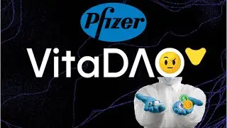VitaDAO Receives $4.1 Million Investment From Pfizer?!
