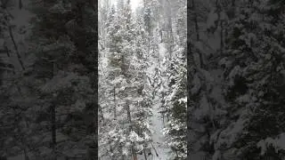 Experience pure winter magic in the Colorado Rockies