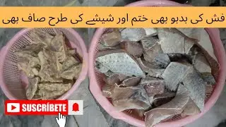 How To Wash And Clean Fish By Aizal's Kitchen| مچھلی کو کیسے دھویا جاتا ہے | Fish Recipe |