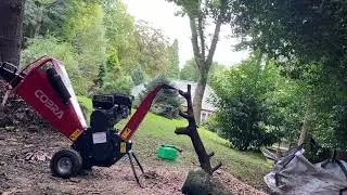 COBRA 650L wood chipper in action