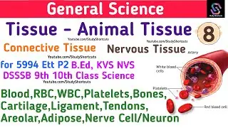 #8 Animal Tissue Connective & Nervous Tissue 5994 Ett P2 Science B.ed Posts 9th 10th #StudyShortcuts