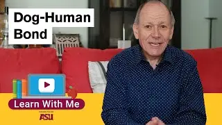 Dog is Love With Clive Wynne