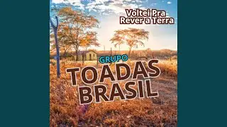 Voltei Pra Rever a Terra