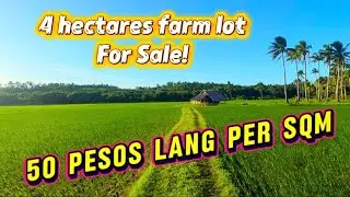 Vlog#205 farm lot for sale!. 4 has 50 pesos lang per sqm. Nyogan palayan.. loc sta. Elena cam.norte