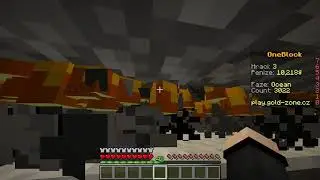 Minecraft wtf infinite blaze rods  Gold Zone one block skyblock [raw footage]
