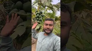 Etni sarae papeta | #minivlog #dailyvideo #vlog #2026vlog #short