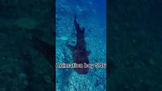 animal transformation//funniest animal transformation//videos funny#shorts #videoviral #animals
