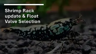 Shrimp Rack update and Float Valve Selection