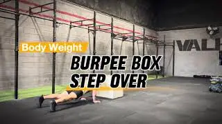 Burpee Box Step Over WODs4Life Program