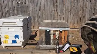 Inside look at Oxalic Acid through a beehive