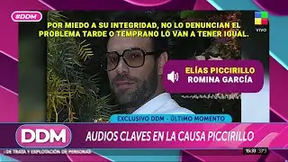 🔴 ELÍAS PICCIRILLO, CADA VEZ MÁS COMPLICADO: AUDIOS CLAVE