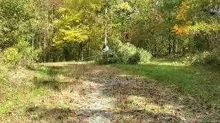 Hemlock Hunting Grounds - Musclewood Tree Grove & Road Widen