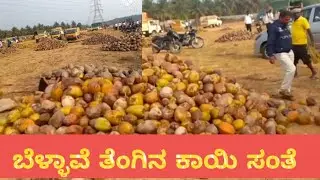 ಬೆಳ್ಳಾವೆ ತೆಂಗಿನ ಕಾಯಿ ಸಂತೆ @tiptur kala madhyama 