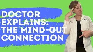 The Mind-Gut Connection: A Doctor Explains How Your Mental Health is Linked to Your Digestive System