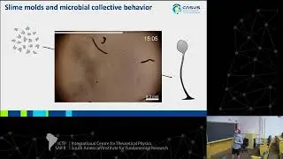 Ricardo Martinez-Garcia: Imperfect coordination in collective behaviors across scales: from ...