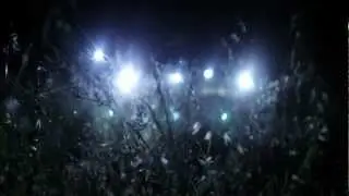 Butterfly Child - No Longer Living In Your Shadow