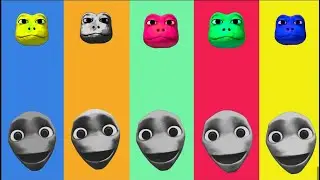 Wrong eyes👀 challenge DAME TU COSITA Funny Puzzle Wrong Heads