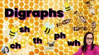 Digraphs Ch Sh Th Ph Wh Bee Theme, Honey Bees, Phonics Game, Virtual School, Online Learning, KIDS!!