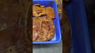 #fishlover #koliwada #fish #fishfest #mahimkoliwada #shorts