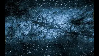 Dynamic Gravity explains Dark Matter