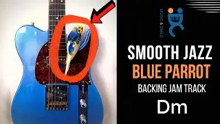 Smooth jazz Blue Parrot - Backing track jam in D minor  (98 bpm)