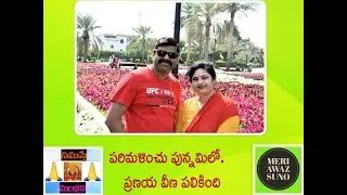 పరిమళించు పున్నమిలో. ప్రణయ వీణ పలికింది /Parimalinchu Punnamilo .Pranaya veena palikindi