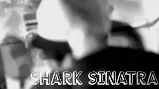 Muziczoo Mic Check: Shark Sinatra