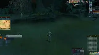 Ryzom client bug: item stats