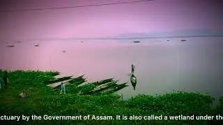 Dipor Bil / Deepor Beel || Largest Lake in Assam || Brahmaputra Valley 2023 #assam #touristplace