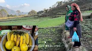 गाउँतिर खेतबारीको काम गर्दै रमाइलो दिन