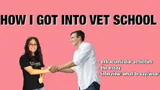 MY VET SCHOOL APPLICATION & INTERVIEW